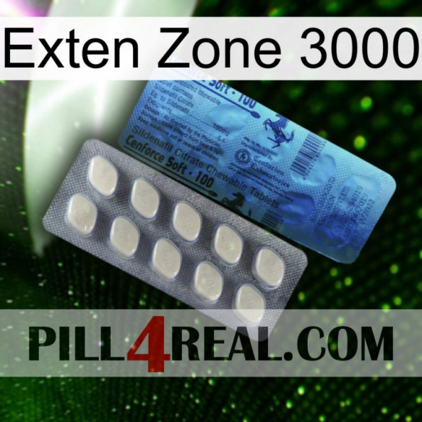 Exten Zone 3000 34.jpg